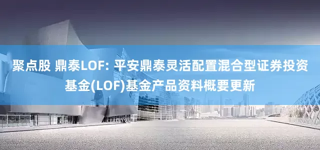 聚点股 鼎泰LOF: 平安鼎泰灵活配置混合型证券投资基金(LOF)基金产品资料概要更新