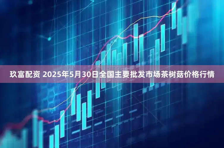 玖富配资 2025年5月30日全国主要批发市场茶树菇价格行情
