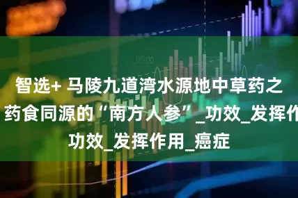 智选+ 马陵九道湾水源地中草药之绞股蓝：药食同源的“南方人参”_功效_发挥作用_癌症